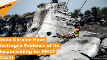 Flug MH17: Zurück in den Schlagzeilen