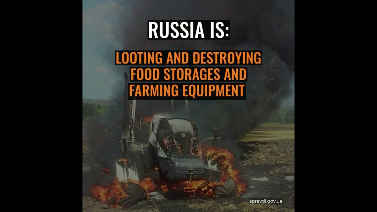 The Kremlin using hunger as a geopolitical weapon